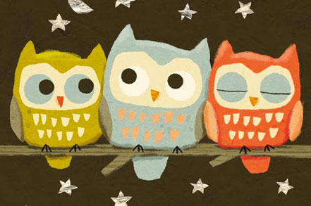 OWL LOVERS ALERT