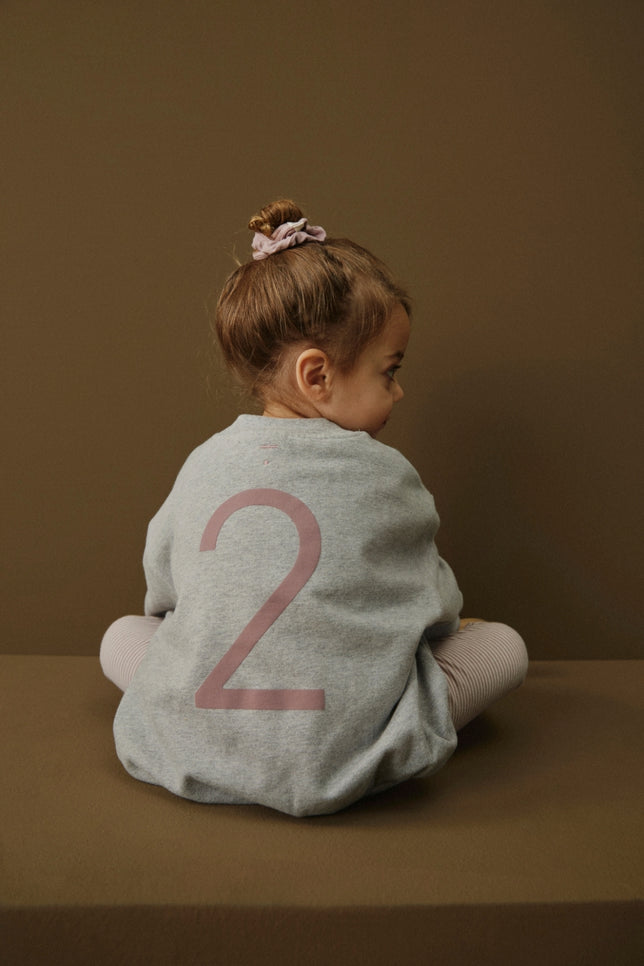 Birthday Sweater | Gray Melange - Berry