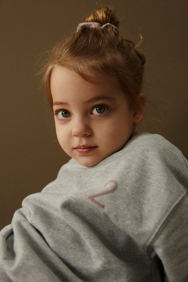 Birthday Sweater | Gray Melange - Berry