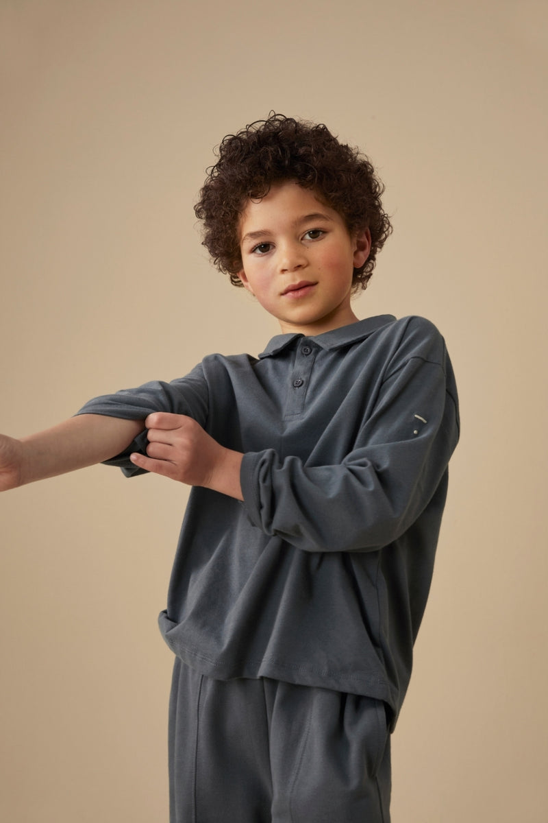 Langarm-Poloshirt | Blue Grey