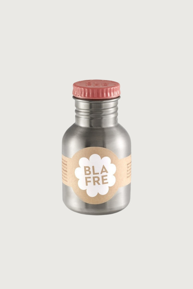 Stainless Steel Bottle | Pink