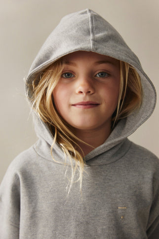 Hoodie | Grey Melange