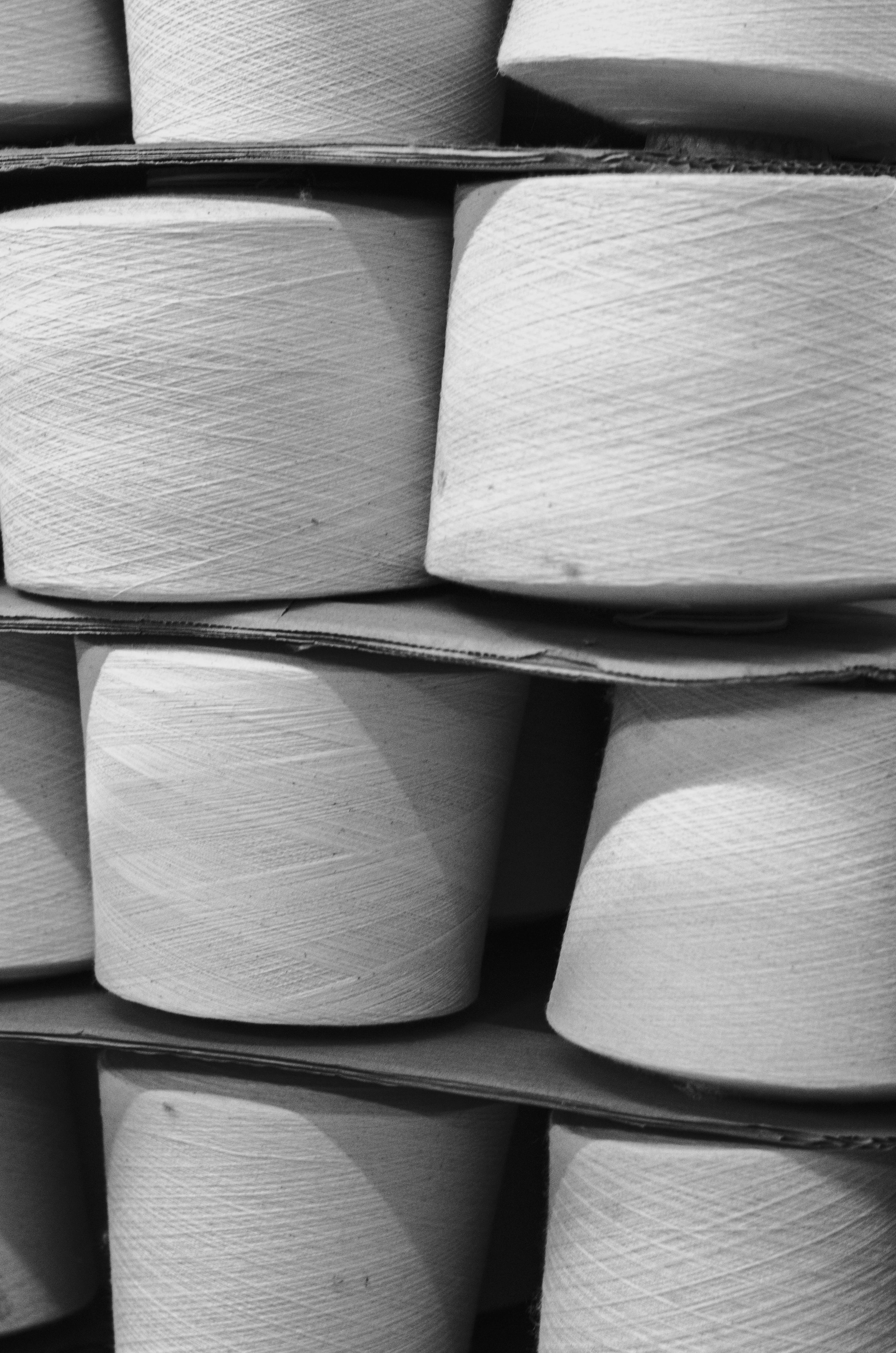 organic cotton 