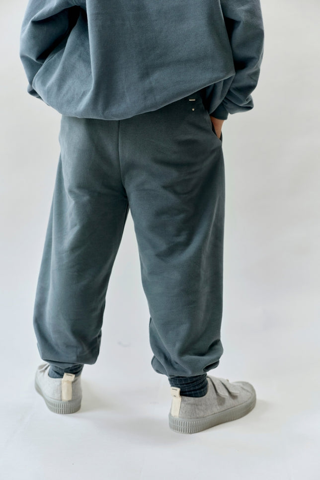 Trainingshosen | Blue Gray