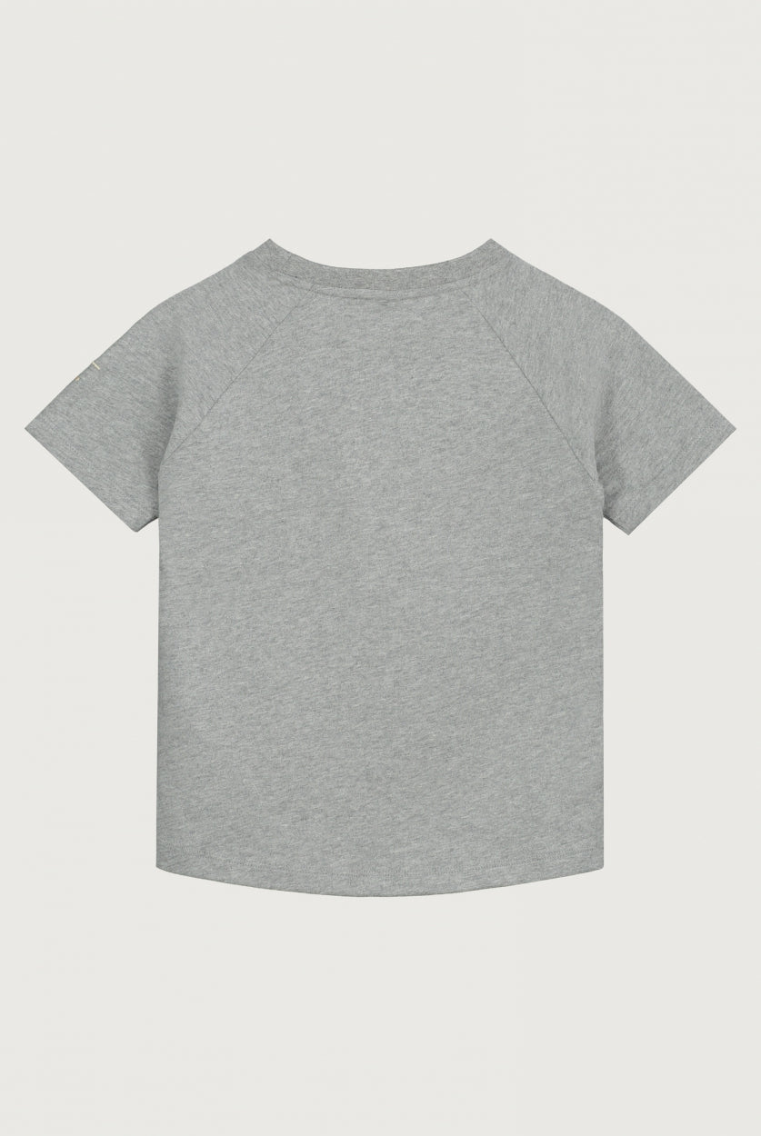 Crewneck T-shirt | Gray Melange