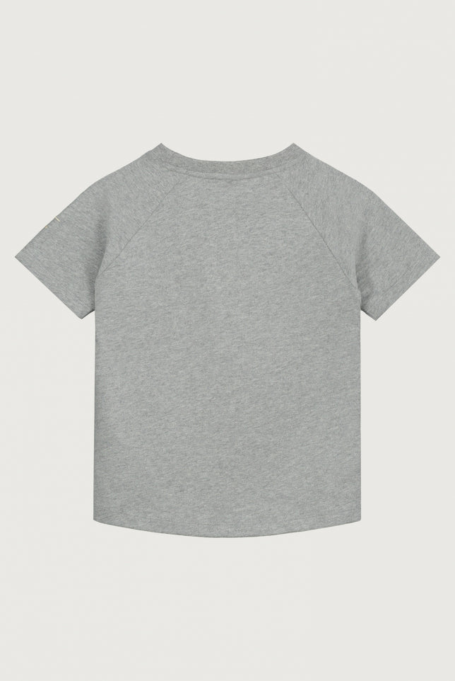 Crewneck T-shirt | Gray Melange