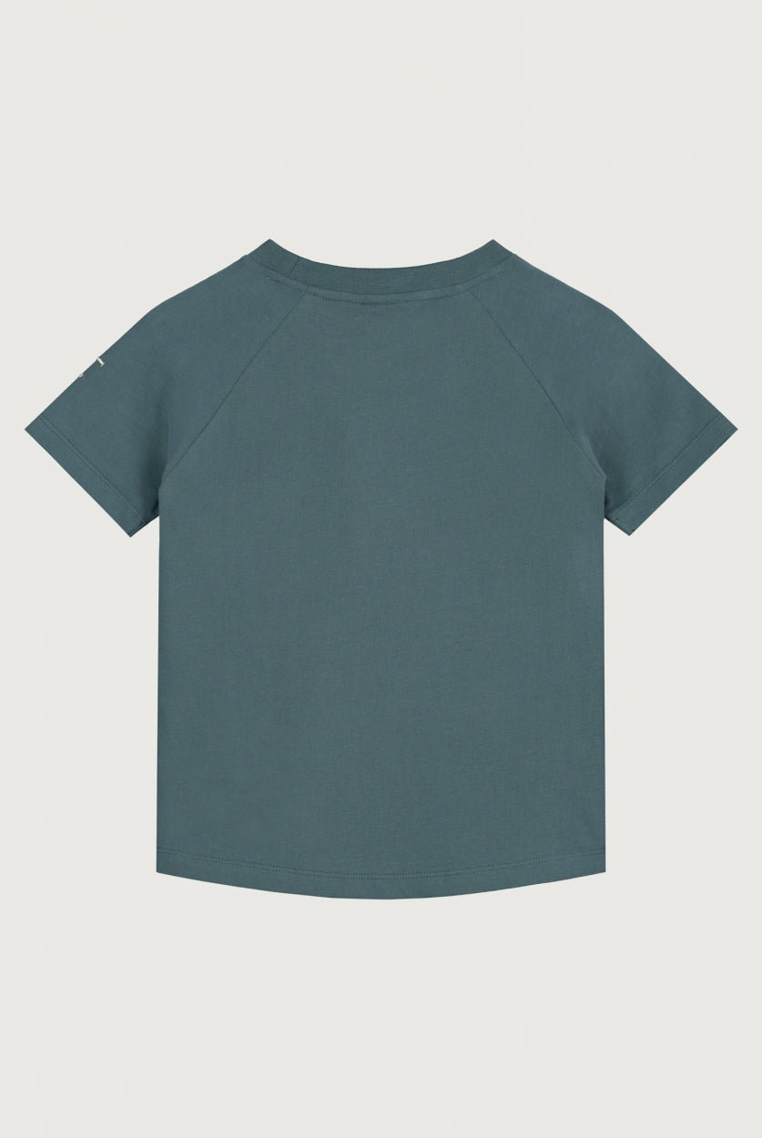 Crewneck T-shirt | Blue Gray