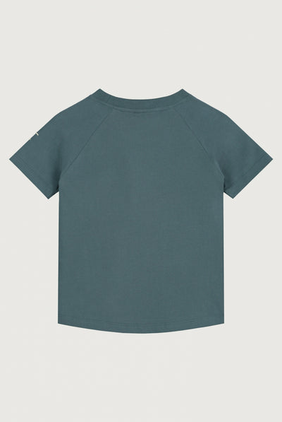 Crewneck T-shirt | Blue Gray
