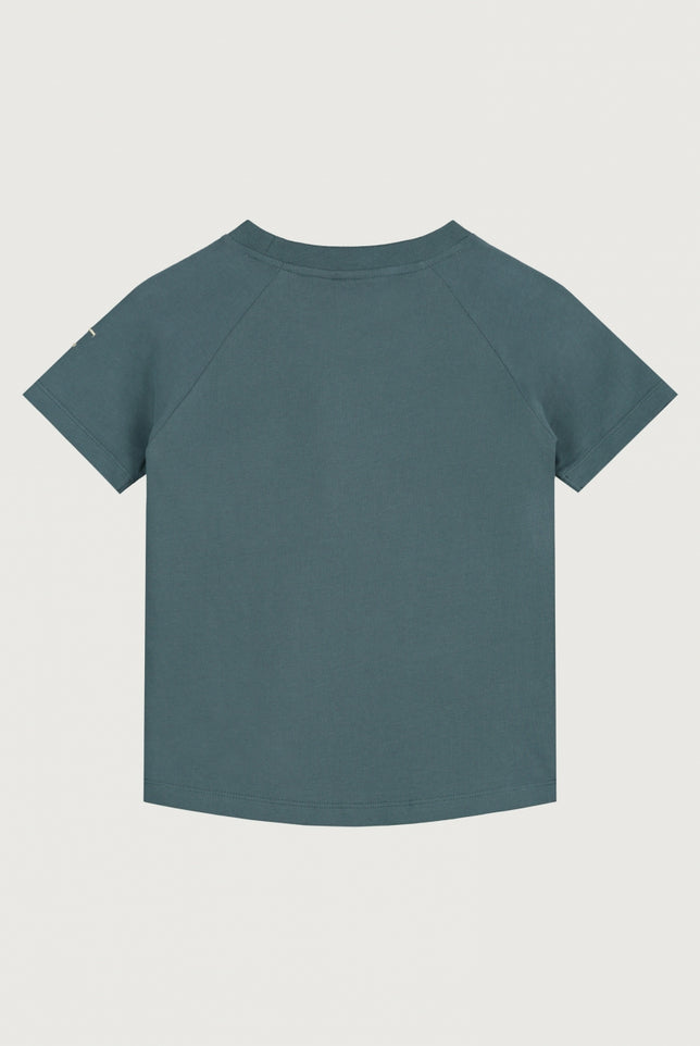 Crewneck Tee | Blue Gray