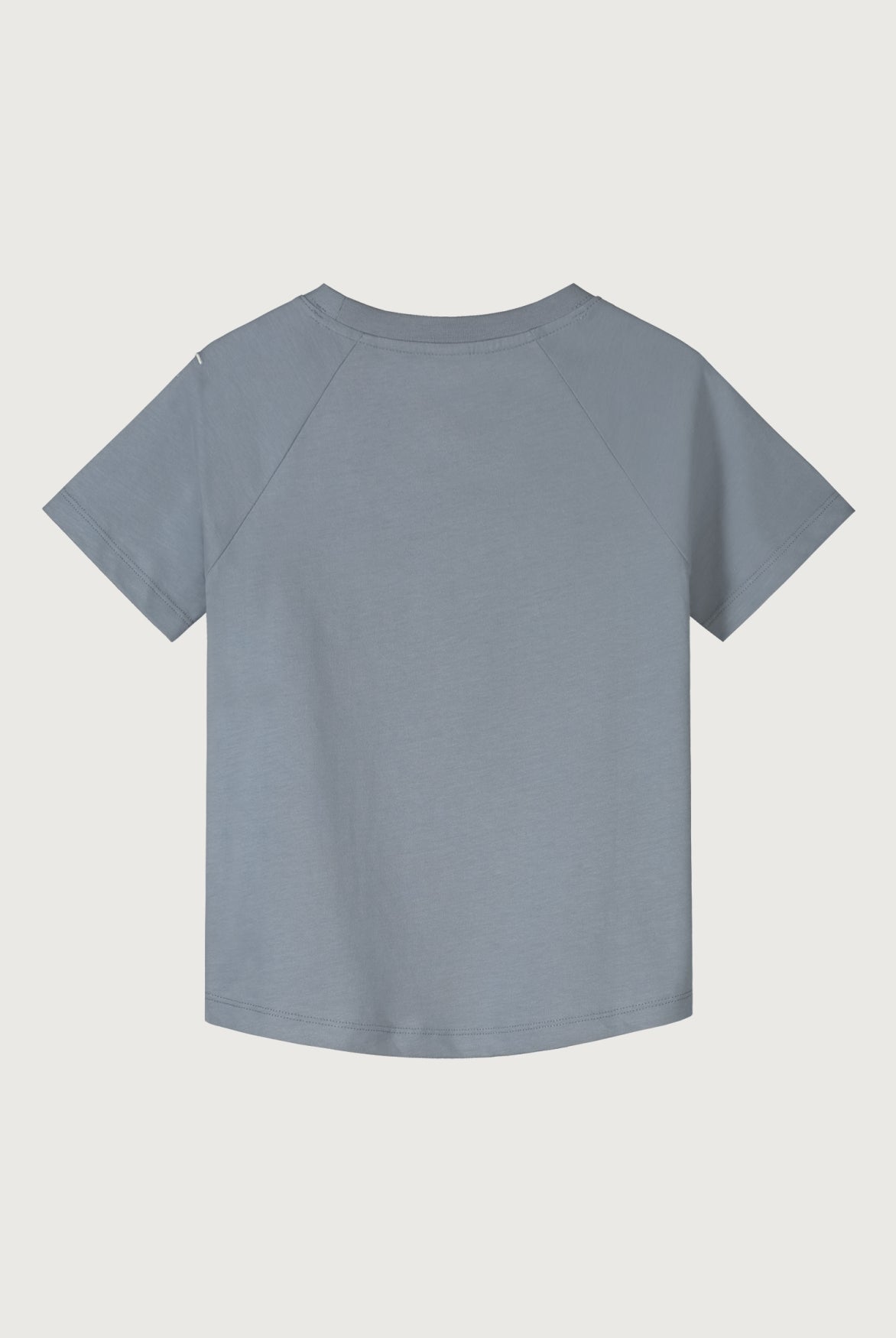 Crewneck T-shirt | Stone Gray