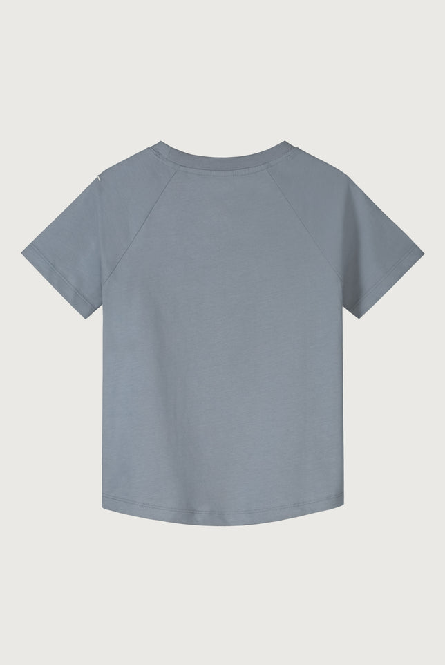 Crewneck Tee | Stone Gray