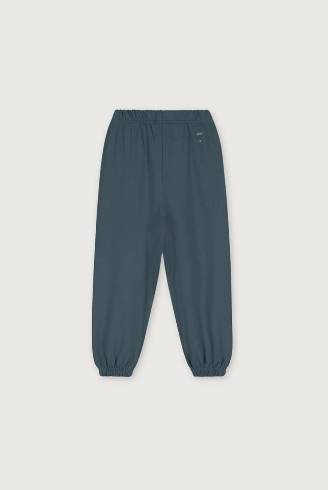 Logo Track Pants | Blue Gray - Bright Cookie