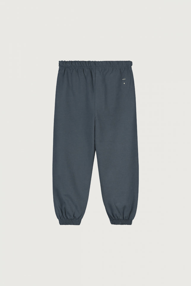 Track Pants | Blue Gray