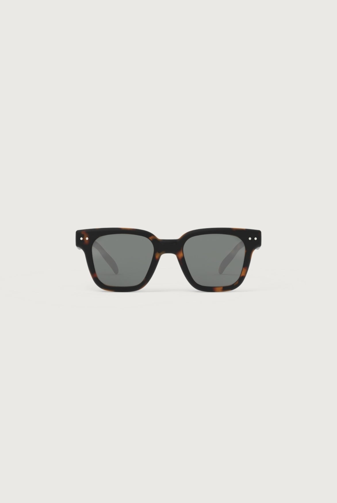 IZIPIZI - #road | Tortoise - POLARIZED