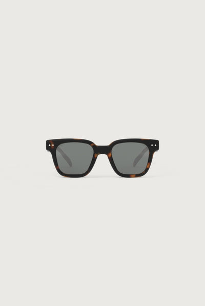 IZIPIZI - #road | Tortoise - POLARIZED