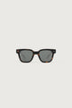 IZIPIZI - #road | Tortoise - POLARIZED