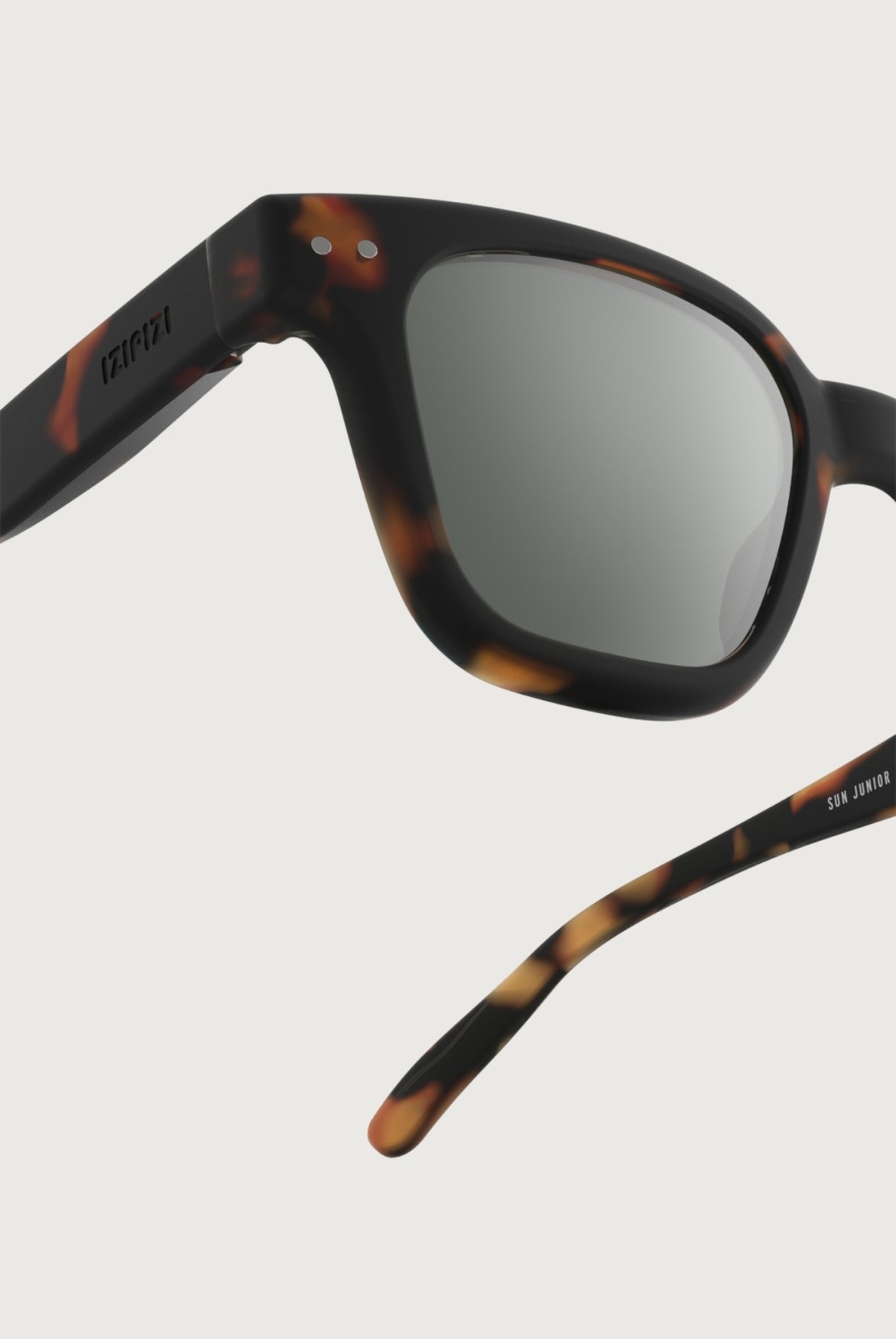IZIPIZI - #road | Tortoise - POLARIZED