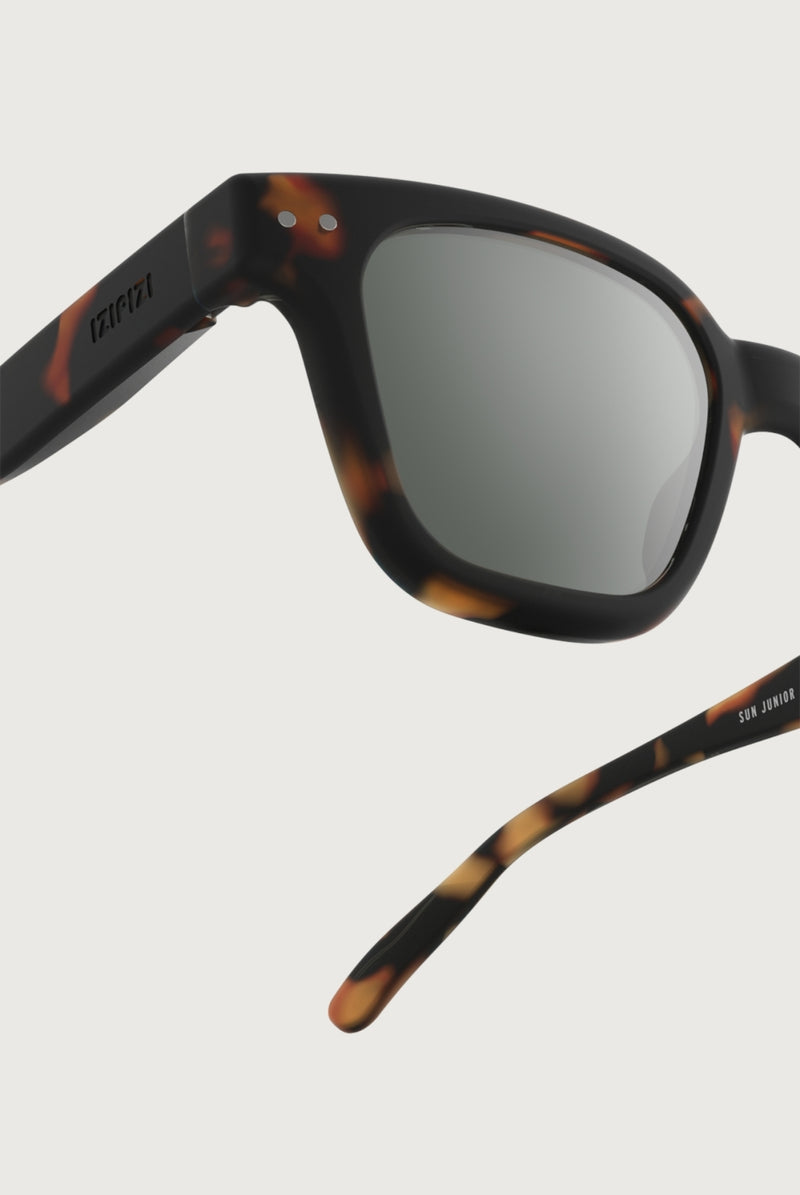 IZIPIZI - #road | Tortoise - POLARIZED