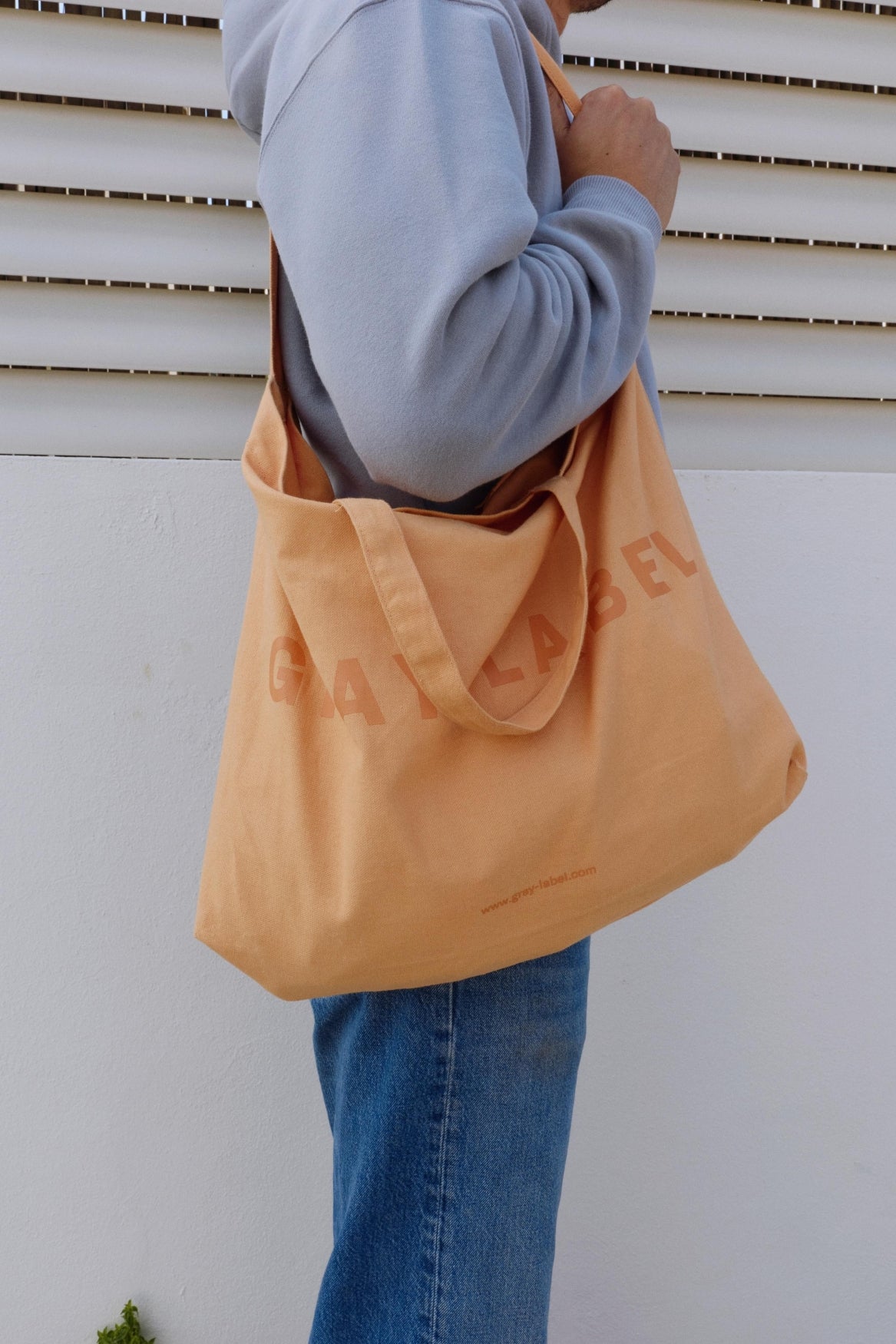 Canvas Shopper | Melon