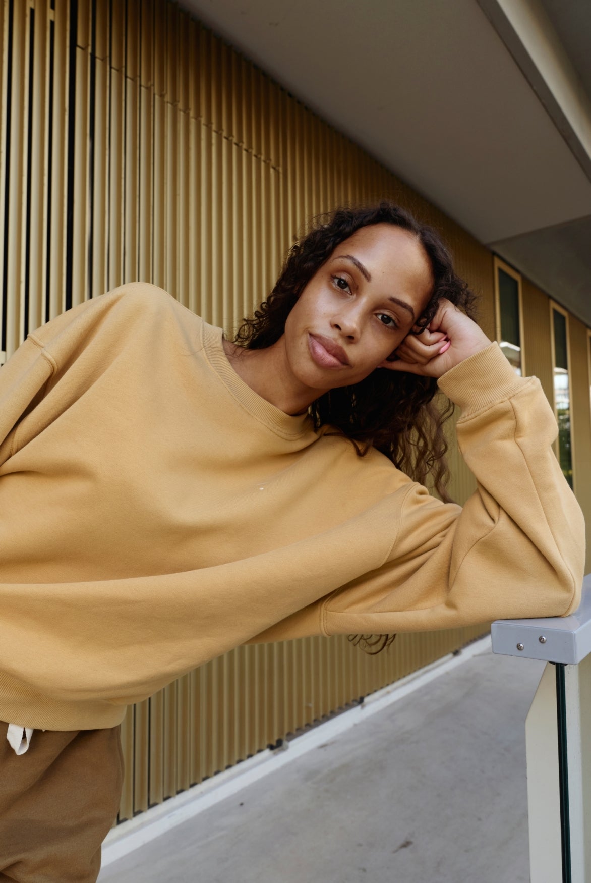 Adult Crewneck Sweater | Cookie