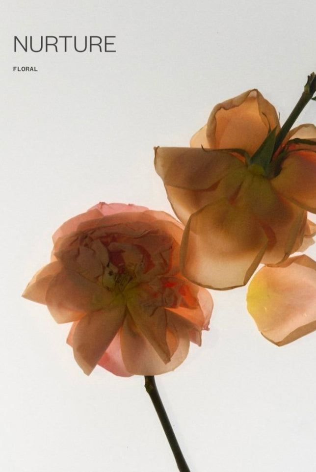 Nurture Perfume | Mini | Color Not Applicable