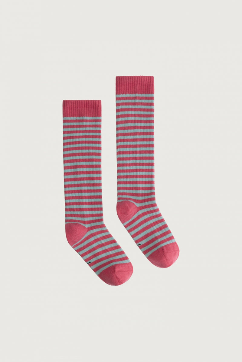 Long Ribbed Socks | Cherry - Sky