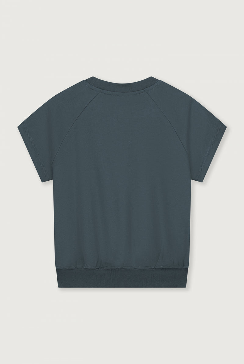 Short Sleeve Sweater GOTS | Blue Grey
